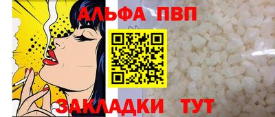 хмурый Тула
