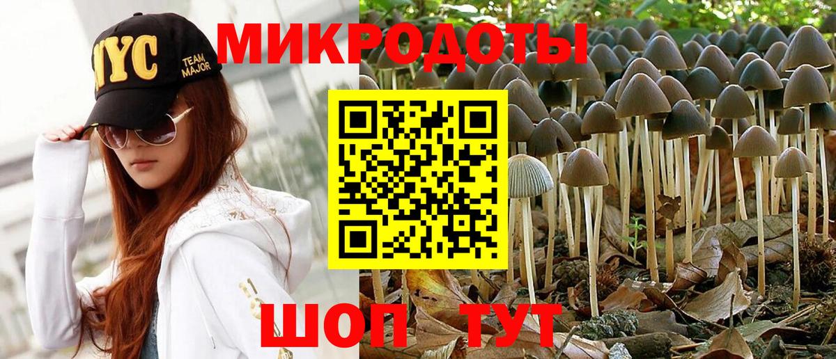 Псилоцибиновые грибы Psilocybe  Псилоцибиновые грибы MAGIC MUSHROOMS  Вход с VPN  Курчатов 